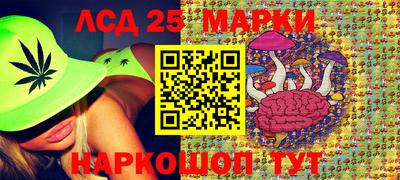 a pvp Камышлов