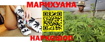 a pvp Камышлов