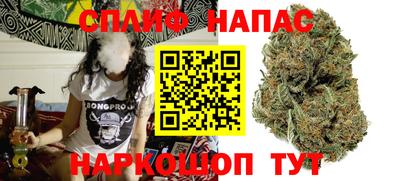 a pvp Камышлов