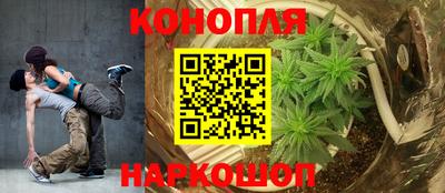 a pvp Камышлов