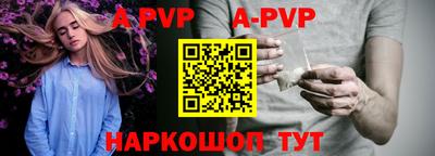 a pvp Камышлов