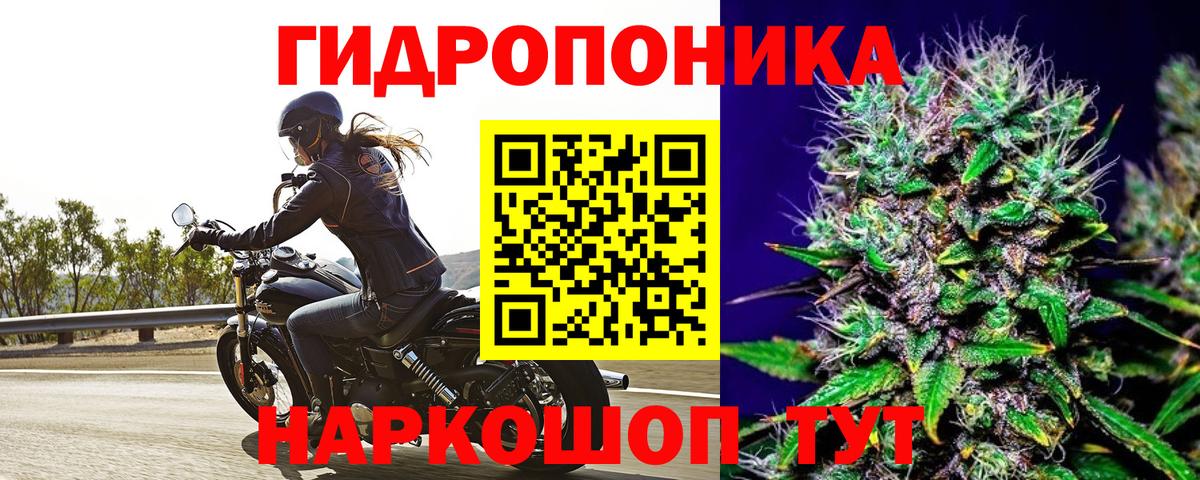 Каннабис конопля Краснокаменск
